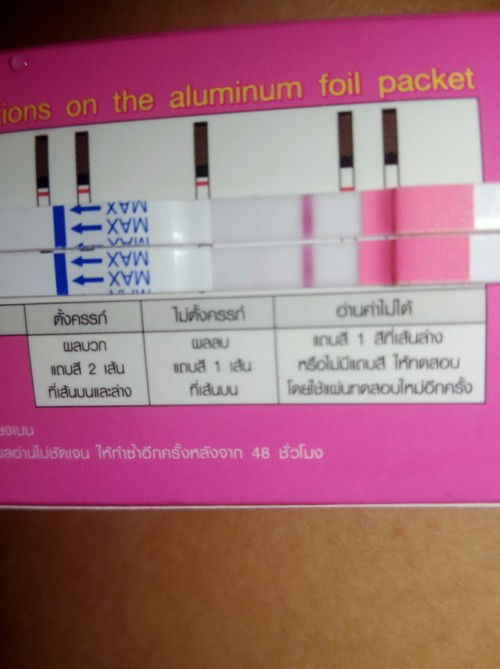 ที่ตรวจครรภ์