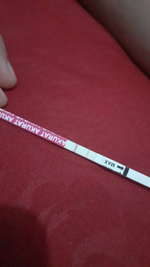 Hallo bunda,kemren coba tespek ,tpu 1 garisnya samar,itu positif kan bund ?