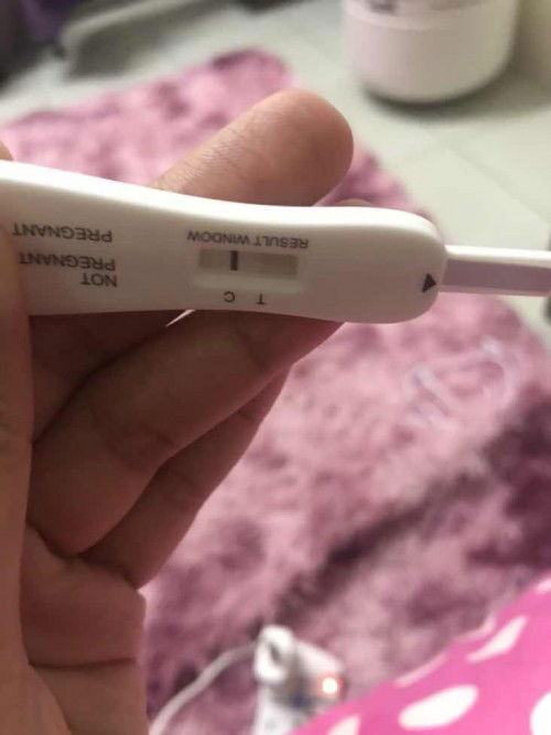 mntk pnjm mata jp tgkkn ad line x