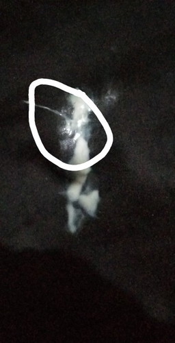 อยากจะสอบถามค่ะมุกใสเป็นแบบไหนค่ะ