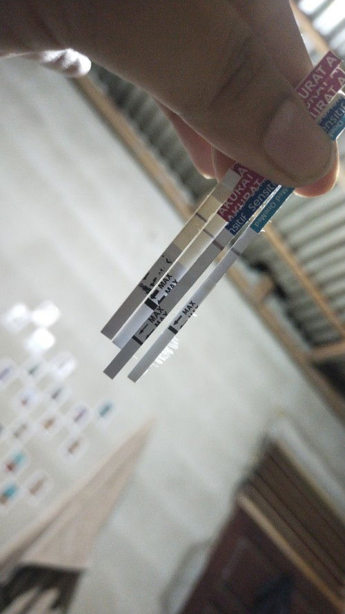 Garu hamil atau tidak