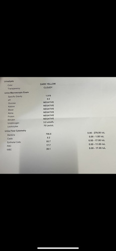 UTI TIPS MOMMIES?
