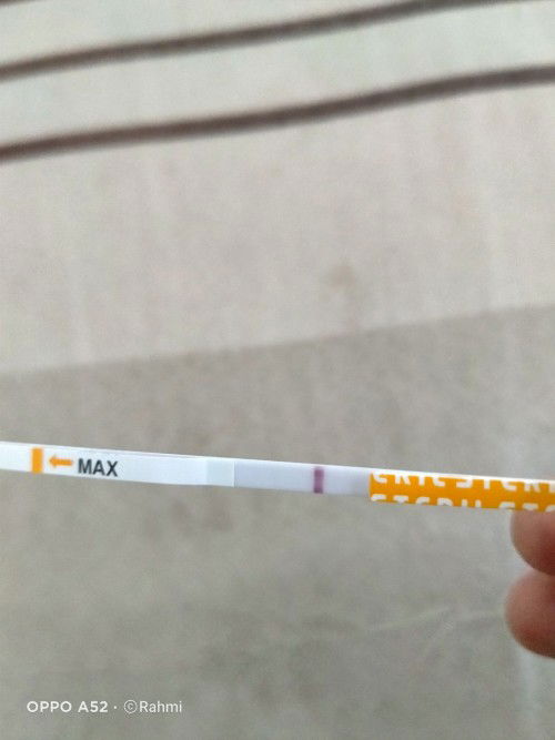 Bulan puasa testpacknya bangun tidur pagi atau sahur?