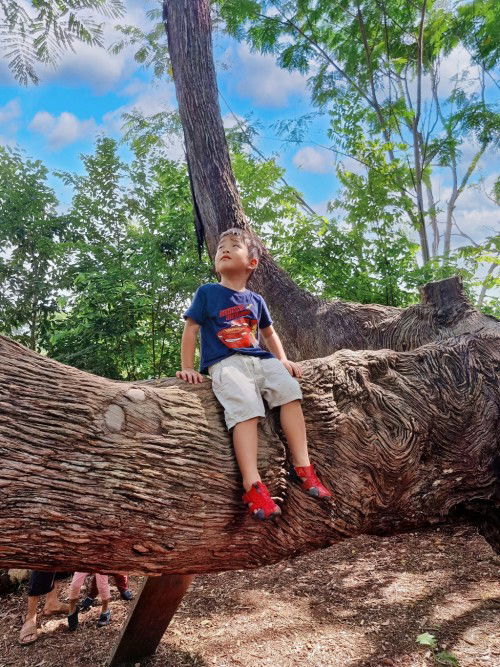 Educational outdoor activities