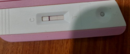 Early pregnancy signs