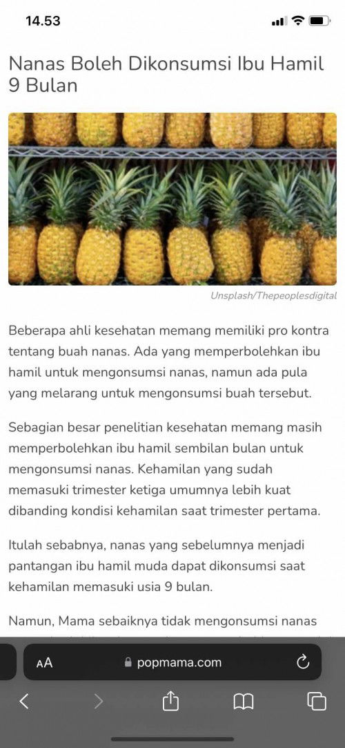 Makan nanas