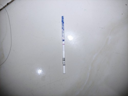 Pertanyaan mengenai hasil test pack
