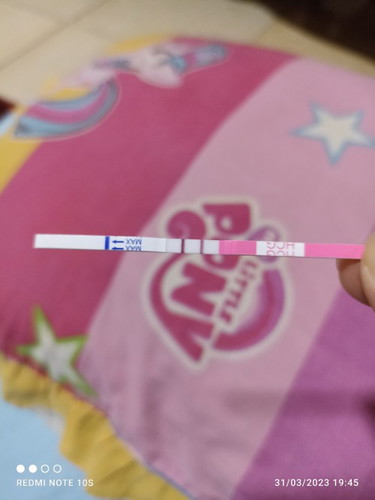 Hamil anak kedua