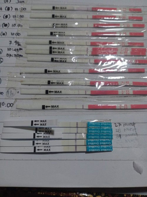 Udah seminggu tespek samar terus