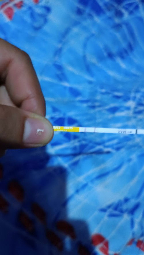 mohon responnya bunda