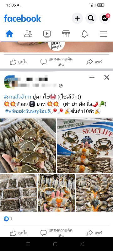 ปูดาวไข่กับคนท้อง