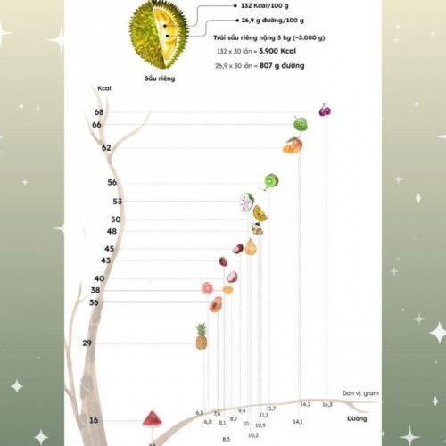 Trái cây rất tốt cho sức khoẻ, nếu ăn đúng ăn đủ càng lợi hơn