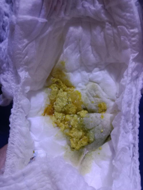 Bab bayi 6 bulan 12 hari