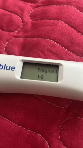 Confirm pregnancy or