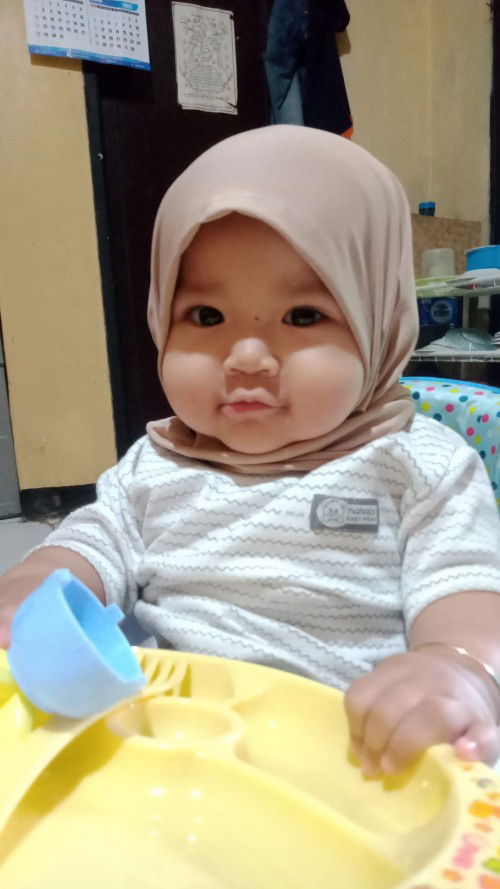 Bayi belum merangkak