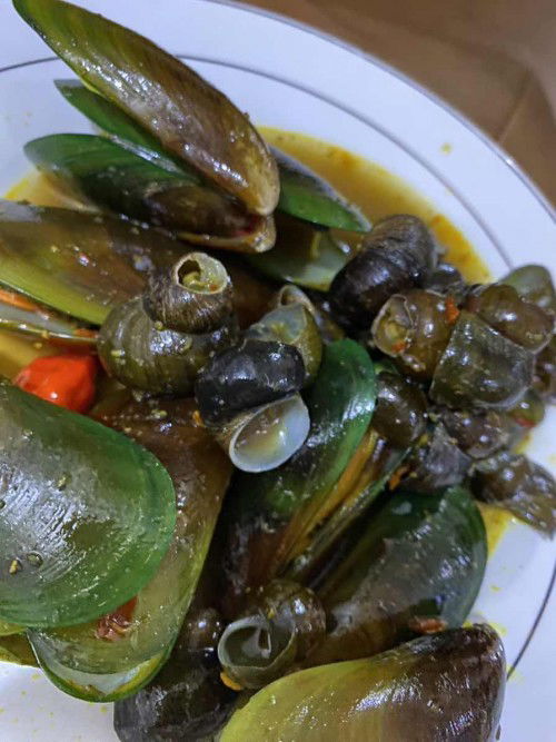 kerang hijau