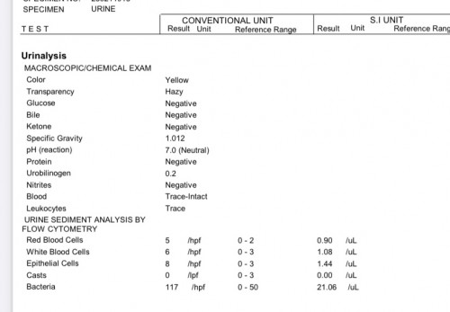 24wks urinalysis - may UTI po ba?