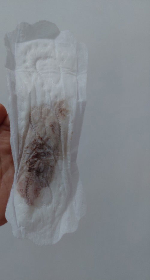 Flek dan bedrest total