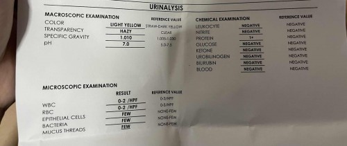 Protein in Urinalysis