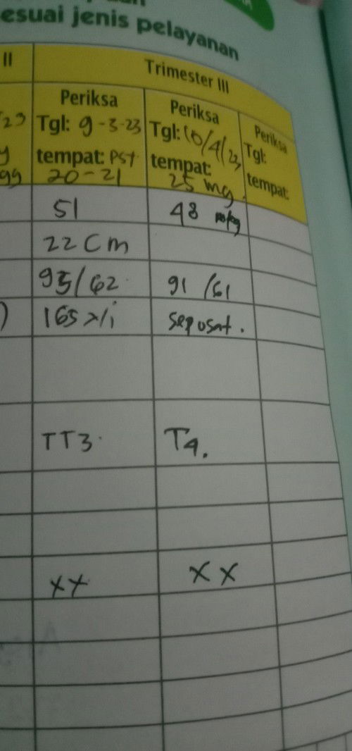 Cara naikin BB dong bun