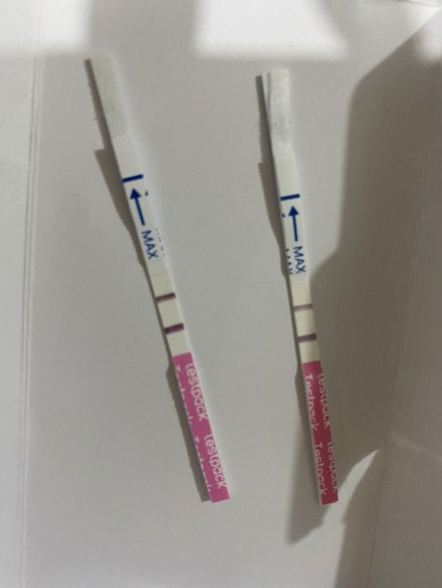 Haid terakhir 4 maret 2023