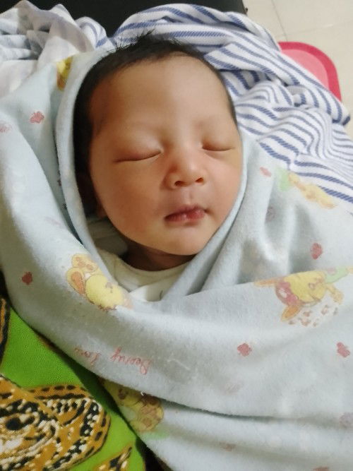 Hpl 8 april launching 11 april