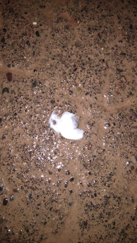 Tanda melahirkan apa bukan ya ?