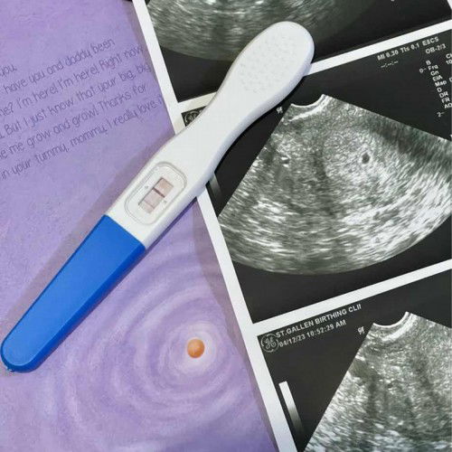 Early stage of pregnancy