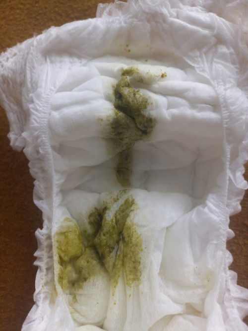 Pup bayi mpasi 6 bln 20 hari