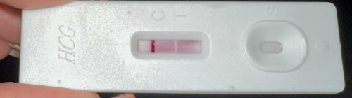 Pregnancy test