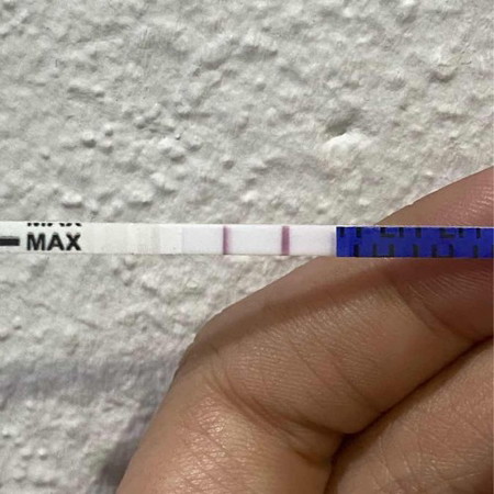 OPK positive ke tak?