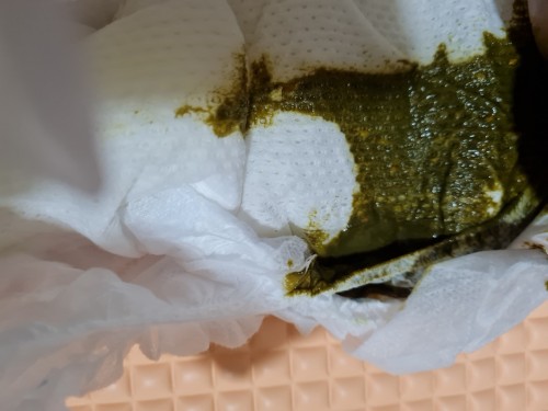 Is it Diarrhoea?