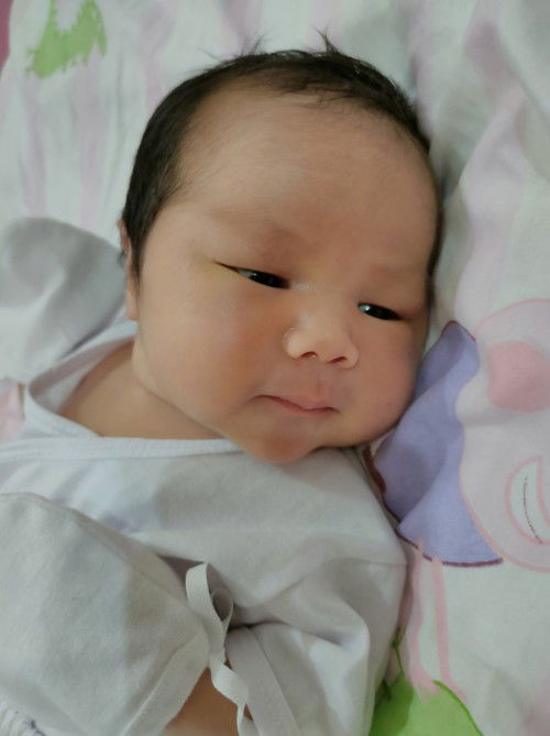 My Chunky Siopao!
EDD: 04-17-2023
DOB: 04-11-2023
3.6 KG via CS Delivery