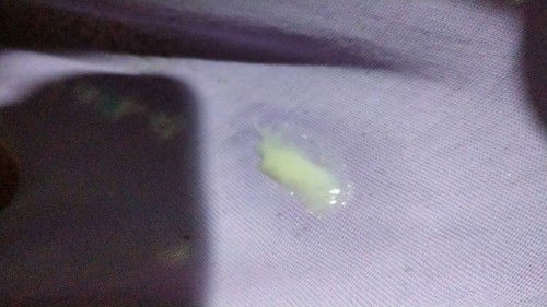 38w 2d keluar spt ini..