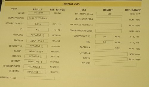URINE RESULT