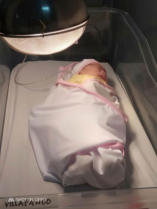 Yuerein V. del mundo 
2.8kgs 
Nsd