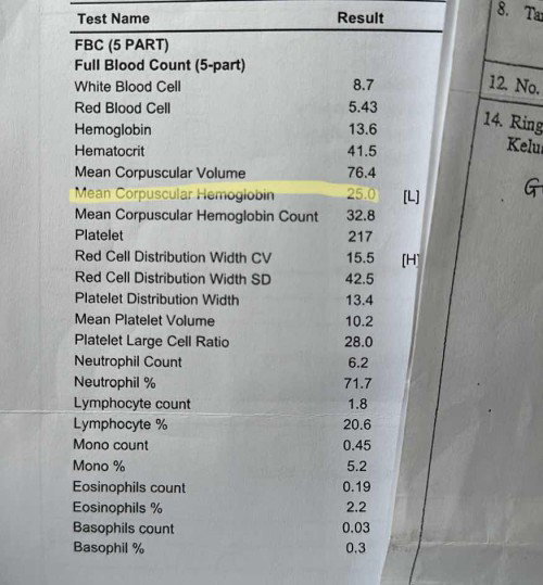 Siapa sini ada pengalaman HB cantik tapi doktor kata molikul darah kecik, adakah beresiko ?