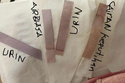 cara bedakan warna di kertas lakmus