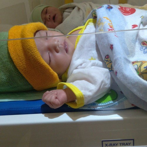 Hpl 23 april lahir tgl 17 april