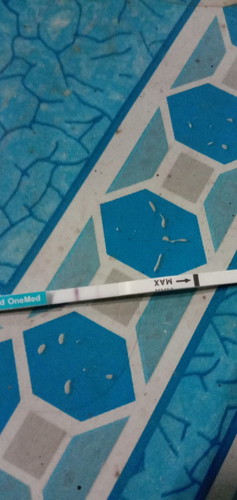 Tespek positif tpi yg satu samar apakah pasti hamil bunda makasih