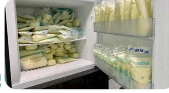 นมแช่ฟรีซอยู่ได้กี่เดือน.