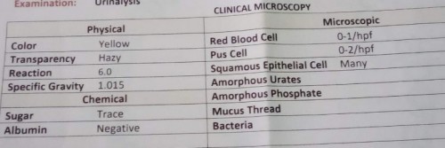 Urinalysis Result