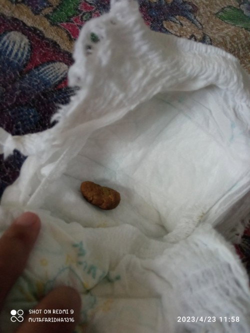 Awal mpasi (BAB padat)