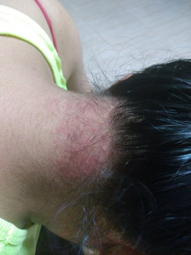 Bunga araw