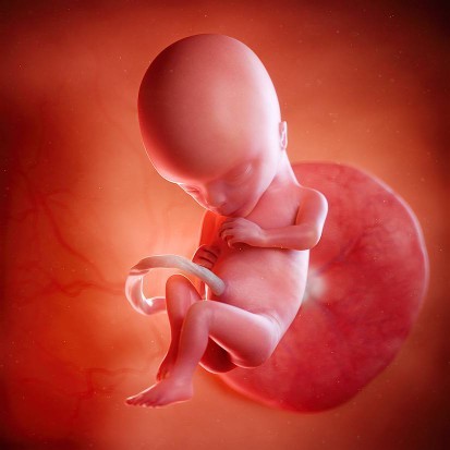 ตั้งชื่อลูกสาว