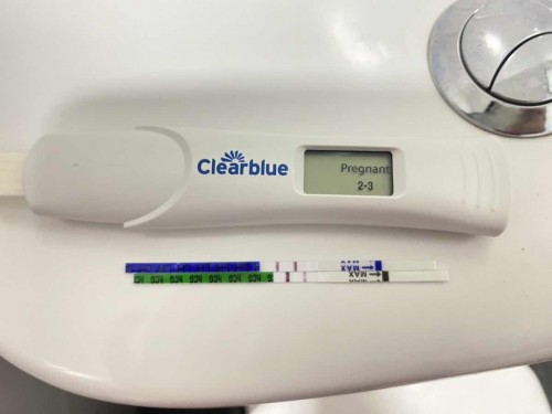 First pregnancy