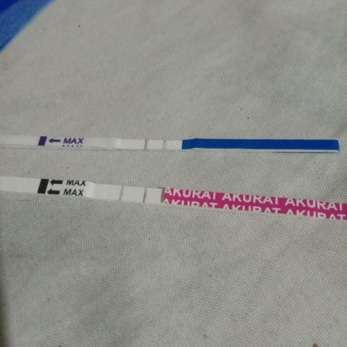 bingung positif hamil apa karna pngruh obat hormon
