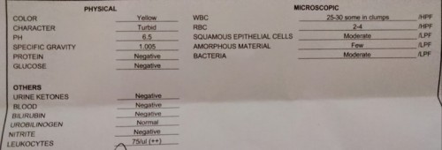 Infection sa ihi