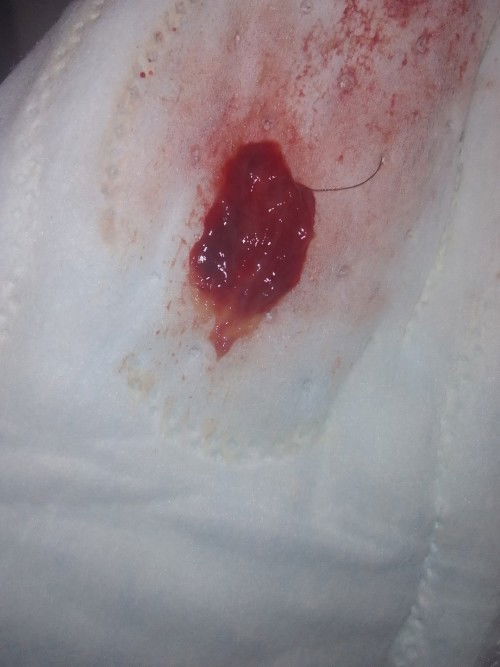 Tespek positif tapi haid