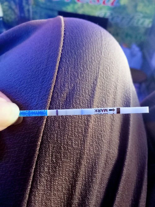Hasil testpek hamil 13 minggu